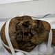 Imagen para el artículo titulado Todo lo que sabemos sobre la momia decapitada encontrada en un ático de Reino Unido